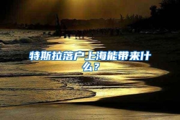 特斯拉落户上海能带来什么？