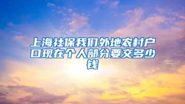 上海社保我们外地农村户口现在个人部分要交多少钱