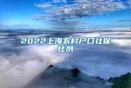 2022上海农村户口社保比例