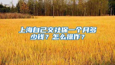 上海自己交社保一个月多少钱？怎么操作？