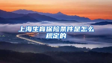 上海生育保险条件是怎么规定的