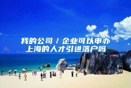 我的公司／企业可以申办上海的人才引进落户吗