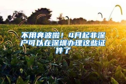 不用奔波啦！4月起非深户可以在深圳办理这些证件了