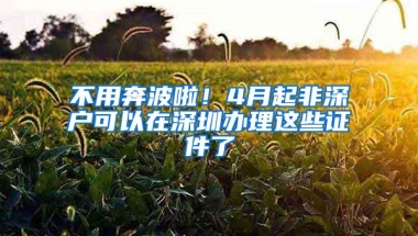 不用奔波啦！4月起非深户可以在深圳办理这些证件了