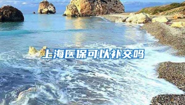 上海医保可以补交吗