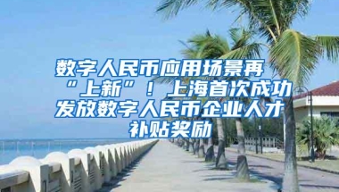 数字人民币应用场景再“上新”！上海首次成功发放数字人民币企业人才补贴奖励