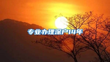 专业办理深户14年