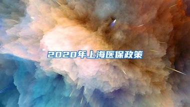 2020年上海医保政策