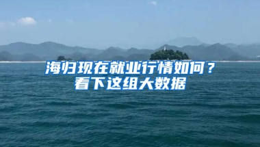 海归现在就业行情如何？看下这组大数据