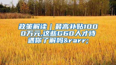 政策解读｜最高补贴1000万元,这些G60人才待遇你了解吗→