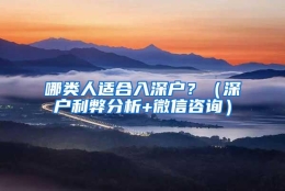 哪类人适合入深户？（深户利弊分析+微信咨询）