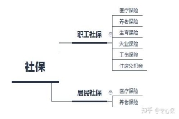 什么是五险一金？「社保」怎么使用最划算？