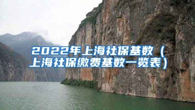 2022年上海社保基数（上海社保缴费基数一览表）