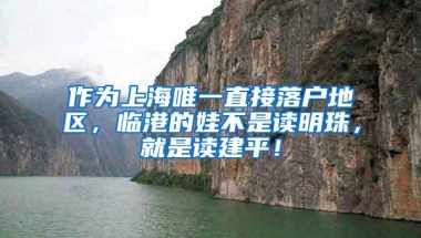 作为上海唯一直接落户地区，临港的娃不是读明珠，就是读建平！