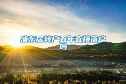 浦东居转户五年直接落户吗