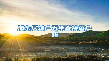 浦东居转户五年直接落户吗