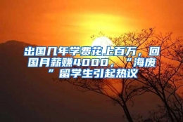 出国几年学费花上百万，回国月薪赚4000，“海废”留学生引起热议