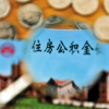 上海提取住房公积金所需材料