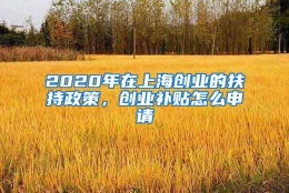 2020年在上海创业的扶持政策，创业补贴怎么申请