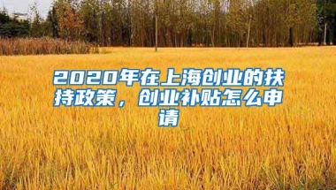 2020年在上海创业的扶持政策，创业补贴怎么申请