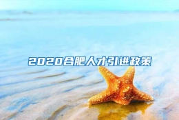 2020合肥人才引进政策