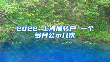 2022 上海居转户 一个多月公示几次