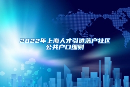 2022年上海人才引进落户社区公共户口细则