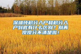 深圳纯积分入户和积分入户到底有什么区别？别再傻傻分不清楚啦！