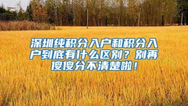 深圳纯积分入户和积分入户到底有什么区别？别再傻傻分不清楚啦！