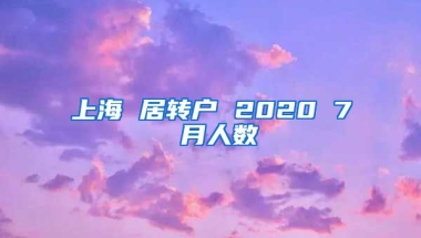 上海 居转户 2020 7 月人数