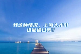 我这种情况，上海人才引进能通过吗？