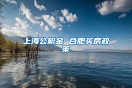 上海公积金 合肥买房政策