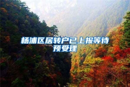 杨浦区居转户已上报等待预受理