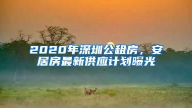 2020年深圳公租房，安居房最新供应计划曝光