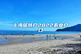 上海居转户2022农业户口