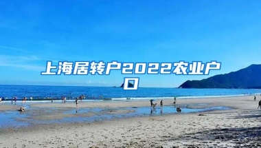 上海居转户2022农业户口