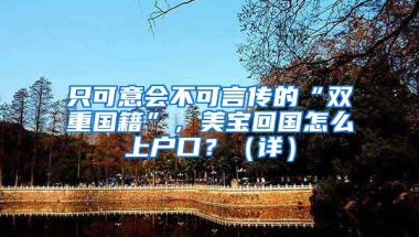 只可意会不可言传的“双重国籍”，美宝回国怎么上户口？（详）