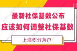 最新社保基数公布，应该如何调整自己的社保基数