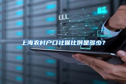 上海农村户口社保比例是多少？