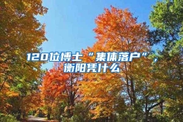 120位博士“集体落户”，衡阳凭什么