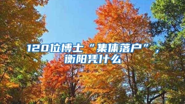 120位博士“集体落户”，衡阳凭什么