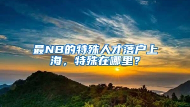 最NB的特殊人才落户上海，特殊在哪里？