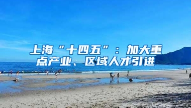 上海“十四五”：加大重点产业、区域人才引进