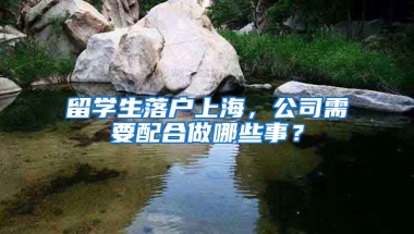 留学生落户上海，公司需要配合做哪些事？