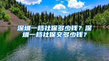 深圳一档社保多少钱？深圳一档社保交多少钱？