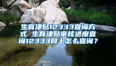 生育津贴12333查询方式 生育津贴审核进度查询12333网上怎么查询？