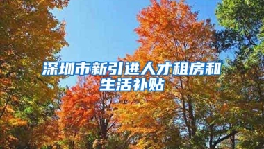 深圳市新引进人才租房和生活补贴