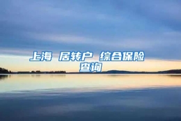 上海 居转户 综合保险 查询