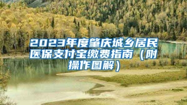 2023年度肇庆城乡居民医保支付宝缴费指南（附操作图解）