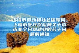 上海市劳动和社会保障局、上海市医疗保险局关于本市非全日制就业的若干问题的通知